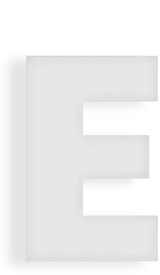 Web & Mobile Application