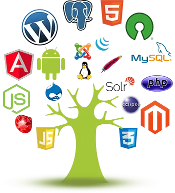 Open Source Development